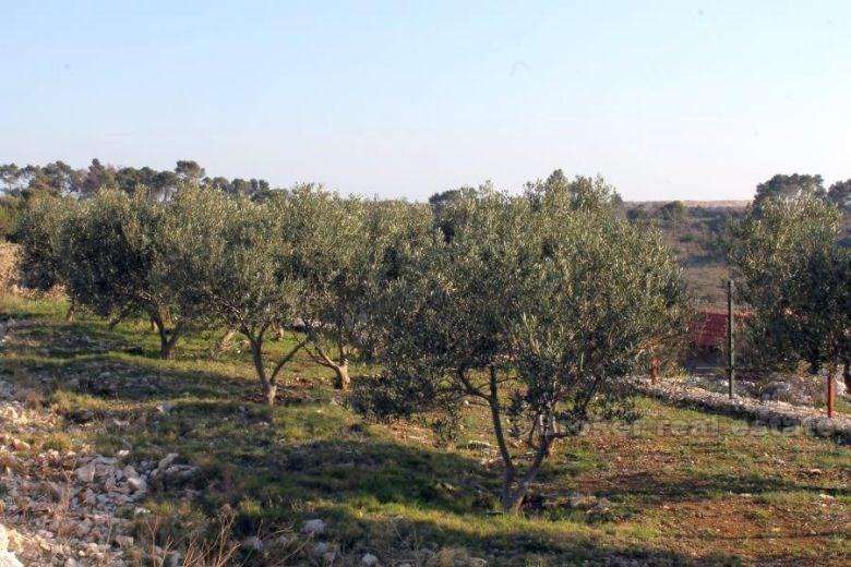 Building plot, for sale, island Ciovo