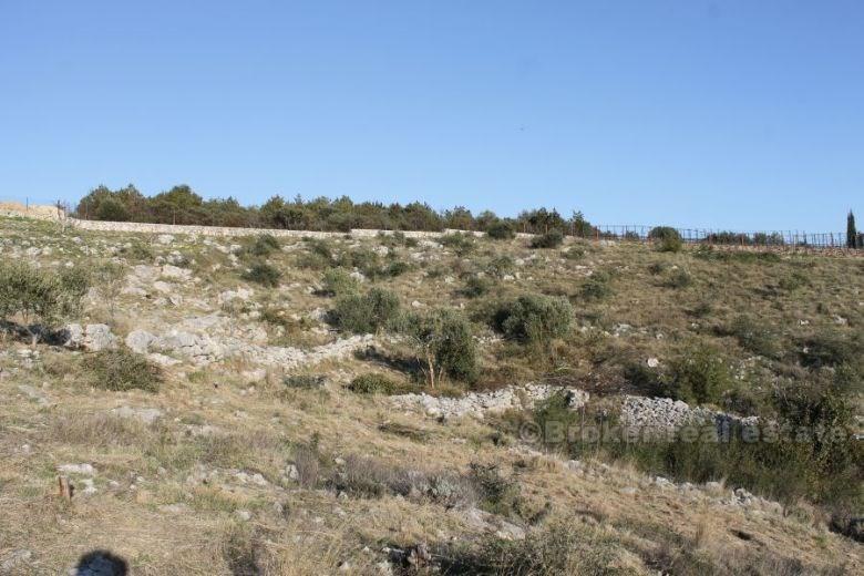 Building plot, for sale, island Ciovo