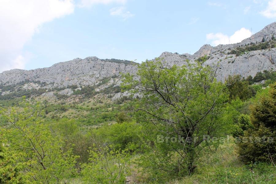Bygg land, til salgs, Makarska riviera