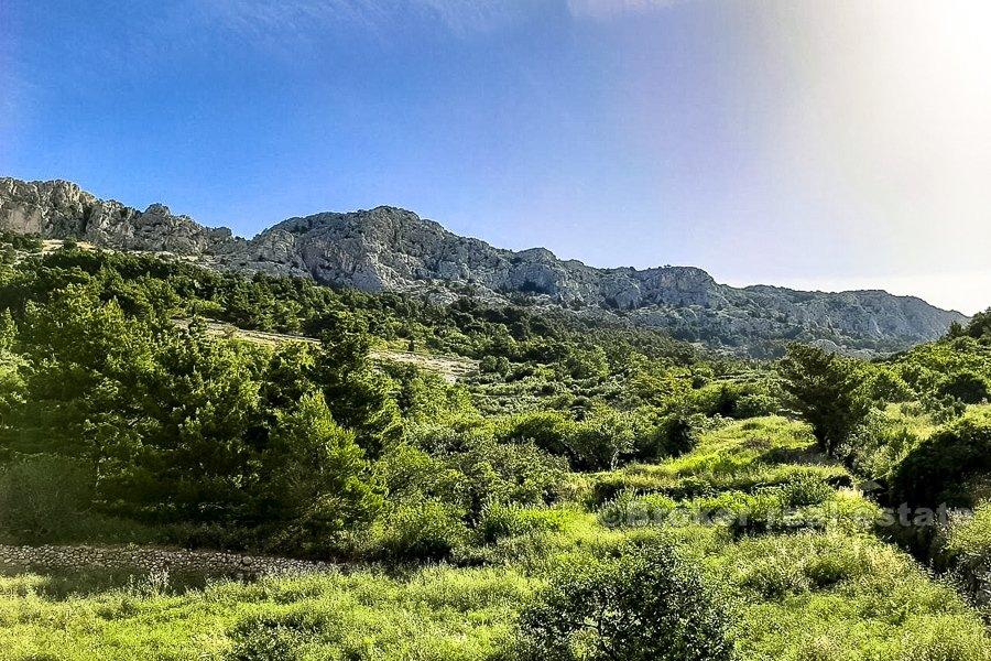Building land close to Makarska, on sale