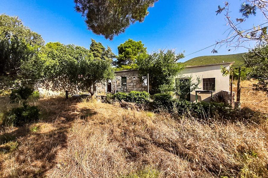 Większy teren z ruiną, widok na morze, na sprzedaż