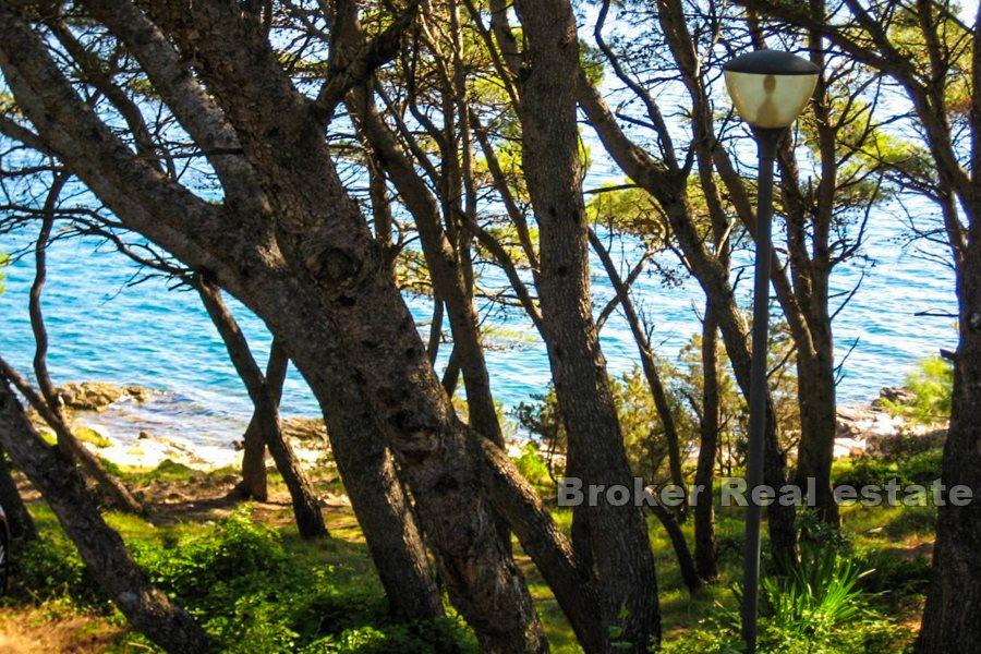 Three bedroom apartment, seafront