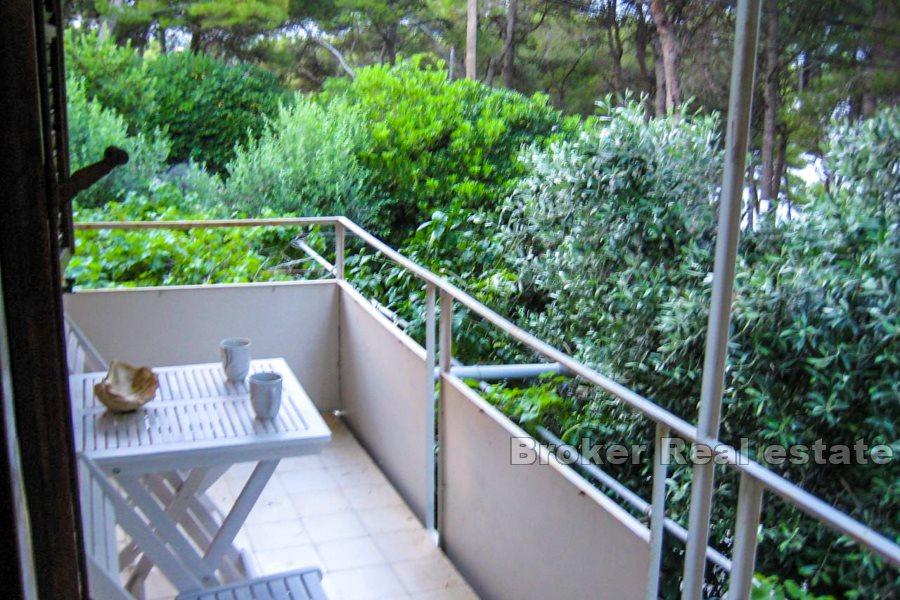 Three bedroom apartment, seafront
