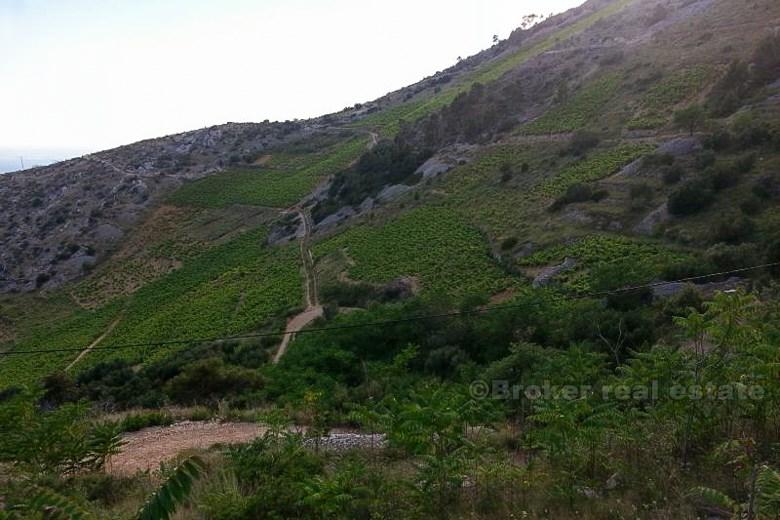 Zrekonstruovaný kamenný dům, k prodeji