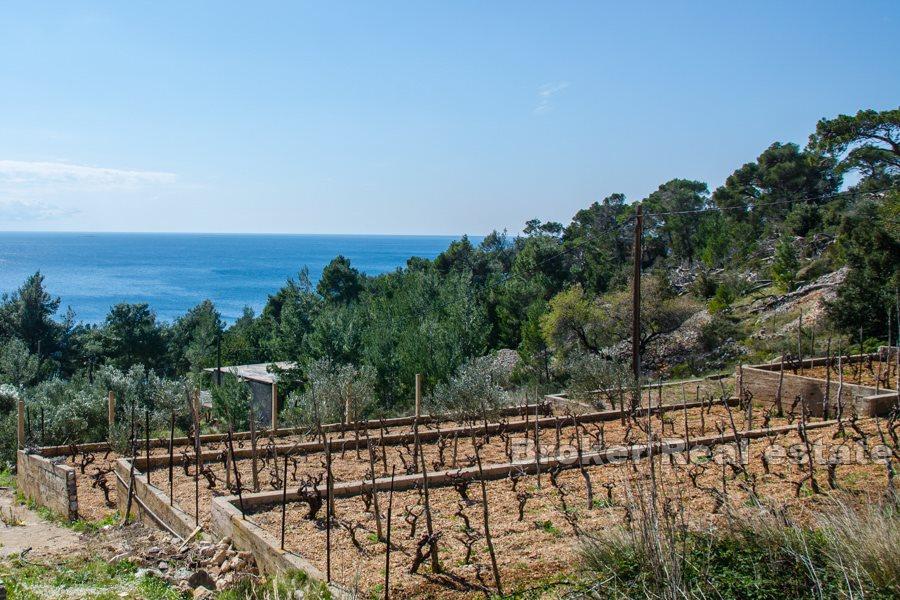 Building plot with sea view
