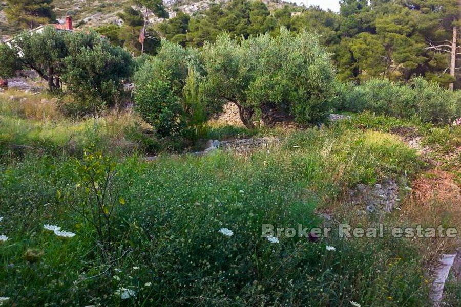 Building plot with sea view