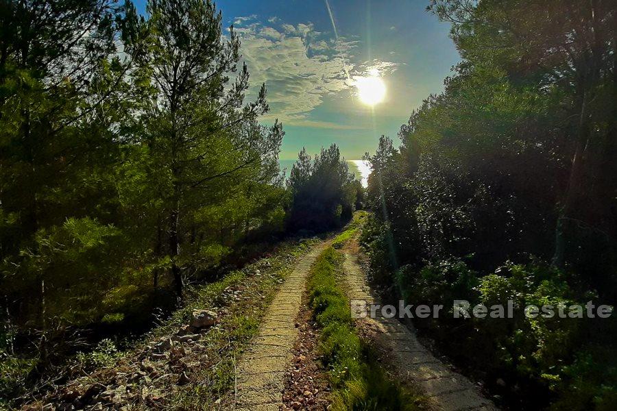 Byggnadsland med havsutsikt