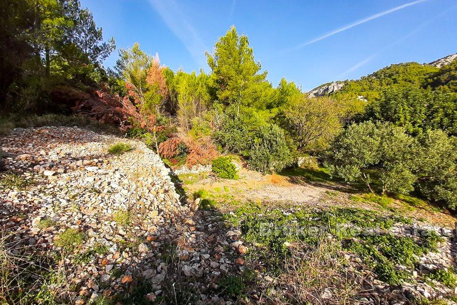 Byggnadsland med havsutsikt