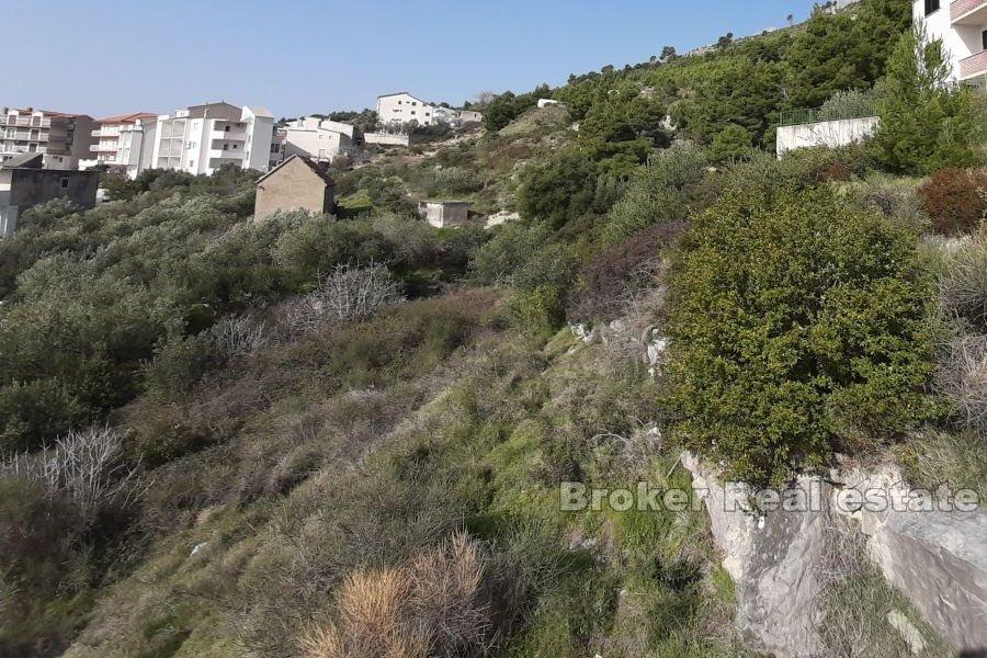 Spacious building land