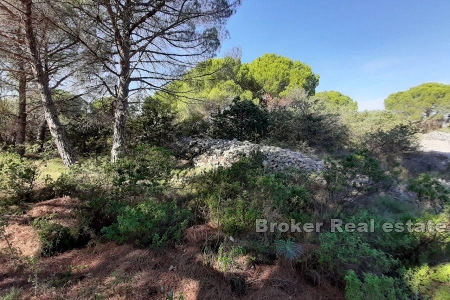 Terrain constructible avec vue mer