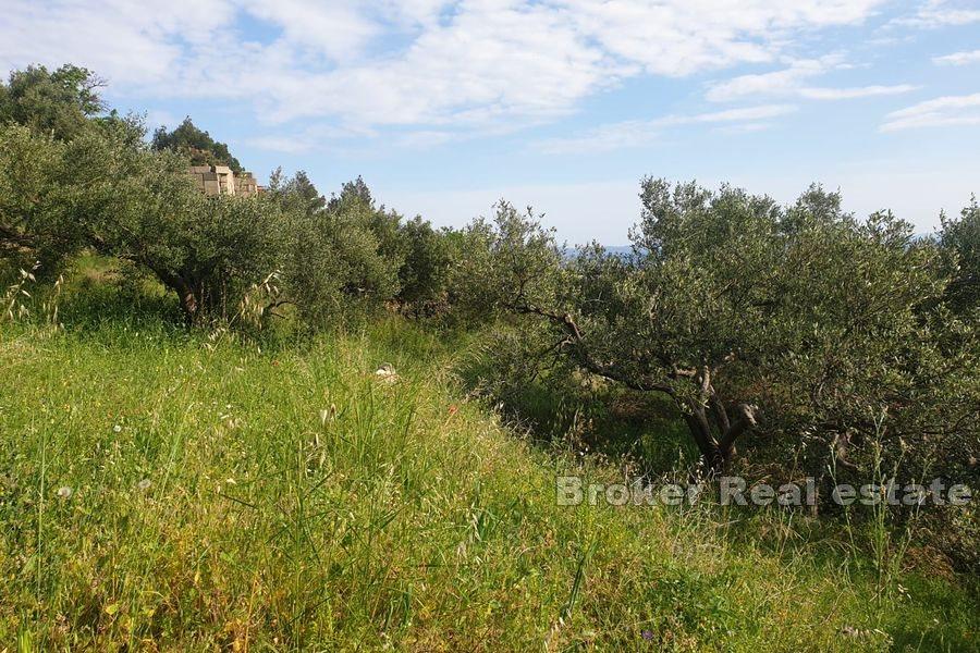 Земля под застройку с открытым видом на море