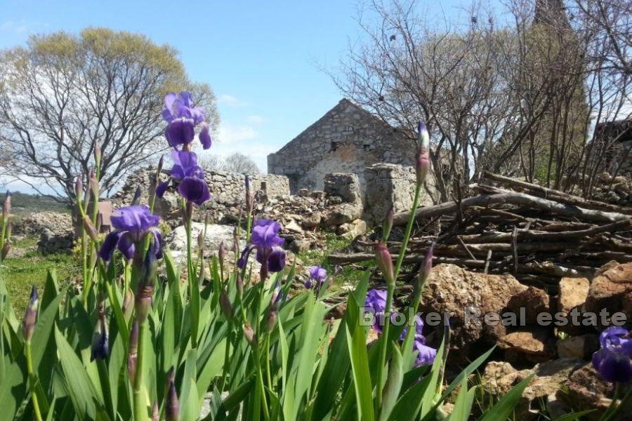 Building plot with ruins