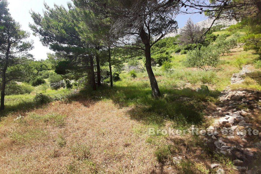 Building plot with sea view