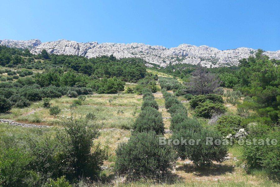 Byggnadstomt med havsutsikt