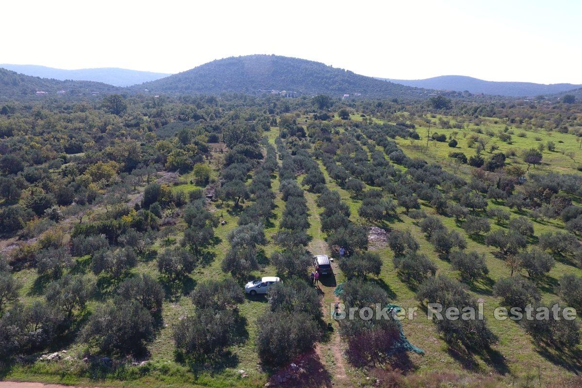 001-2016-630-Marina-Spacious-plot-near-the-sea-for-sale