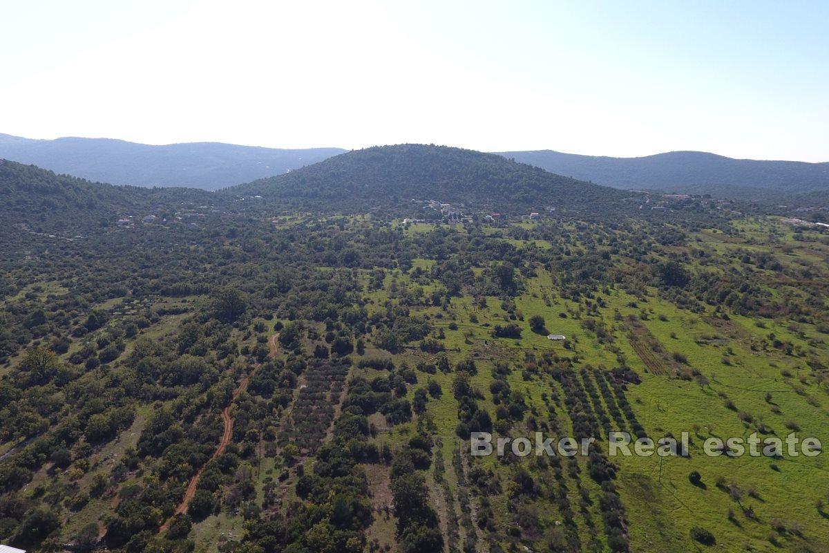 Prostorný pozemek v blízkosti moře