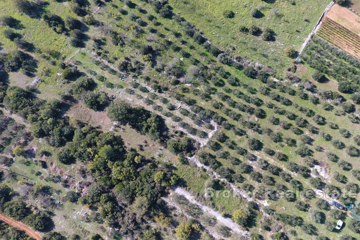 Un terrain spacieux près de la mer