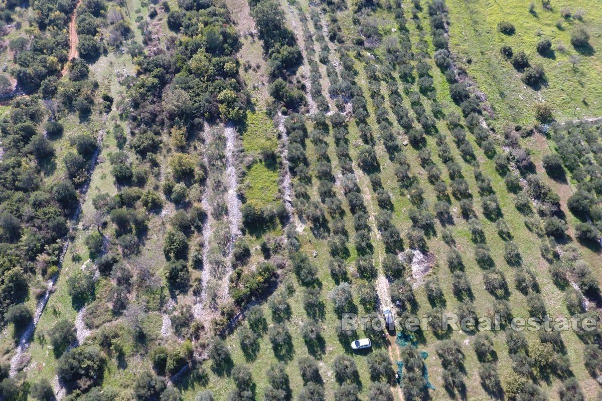 Un terrain spacieux près de la mer
