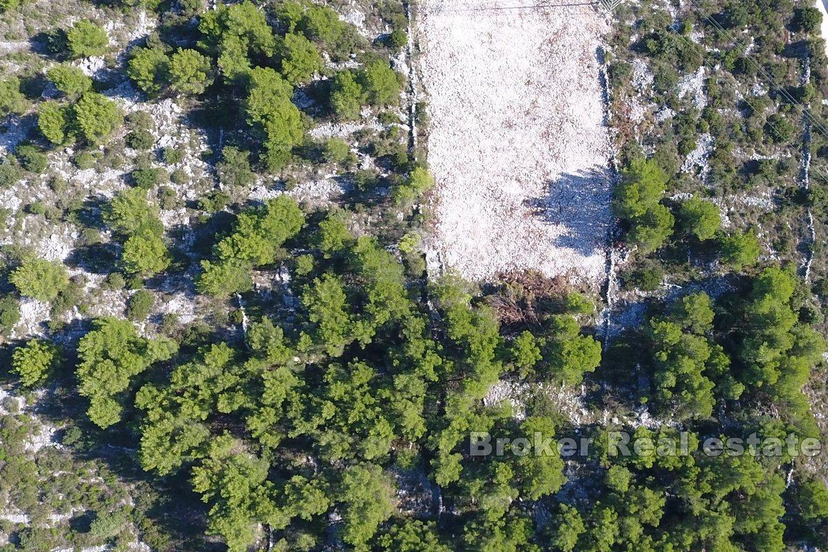 A spacious plot with a panoramic view of the sea