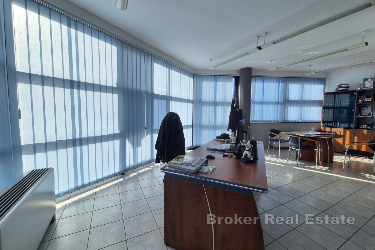 Просторное и аккуратное офисное помещение