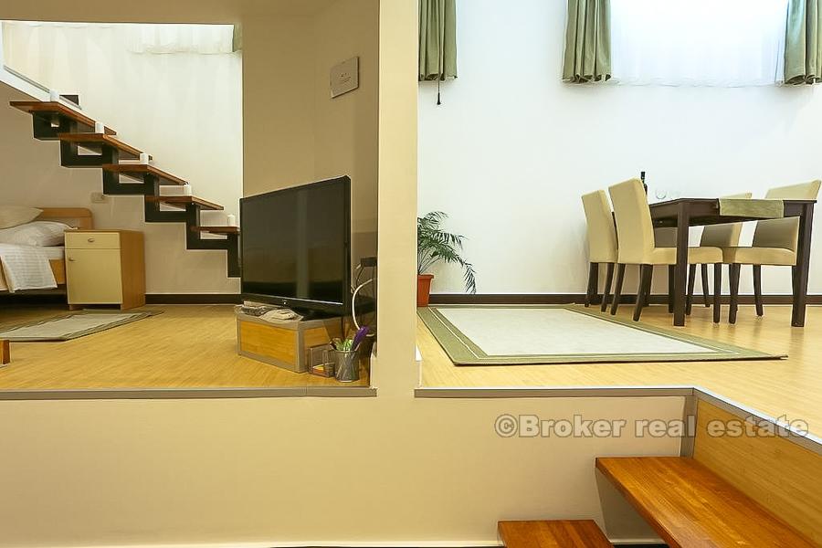 Ein-Zimmer-Wohnung, Manus