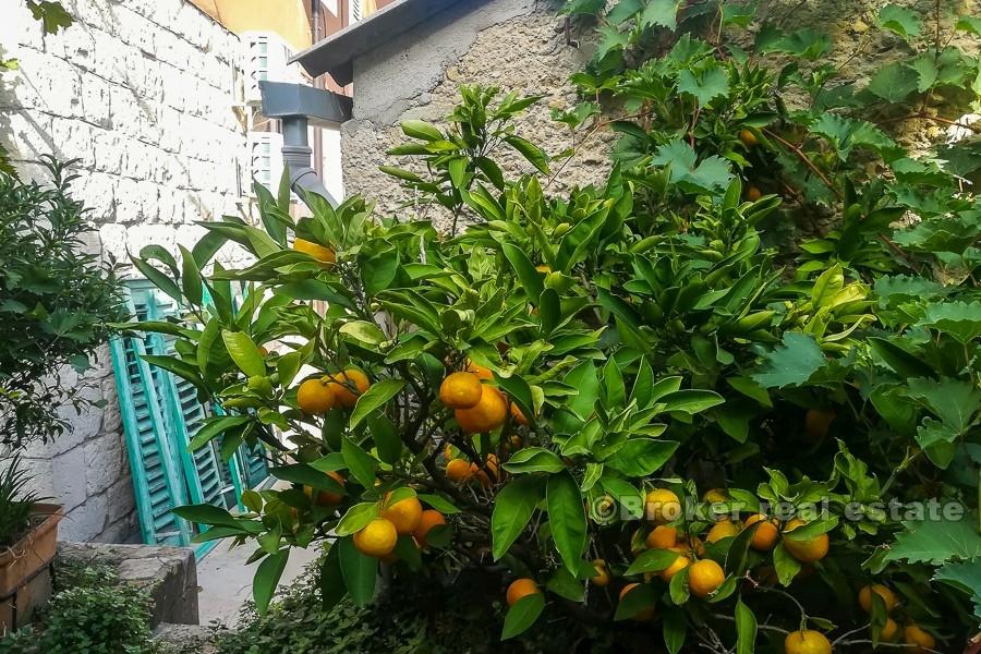 Haus zur Renovierung im Zentrum von Split, zu verkaufen