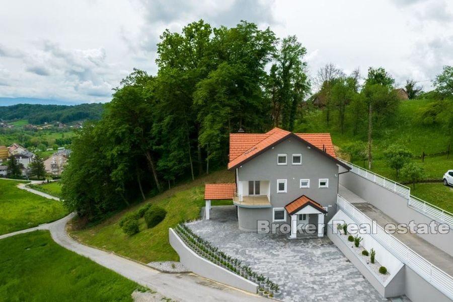Detached house with two apartment