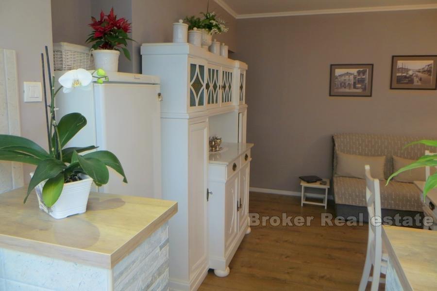 Completely renovated apartment near city center