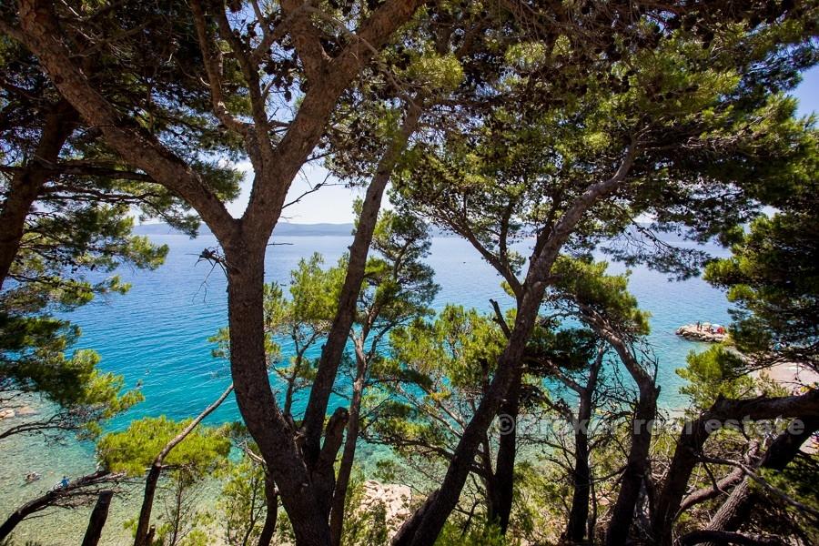Maison jumelée, première rangée à la mer, vente