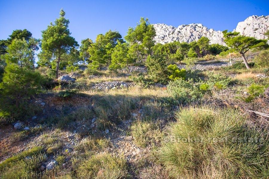 Zemljište s pogledom na more, na prodaju