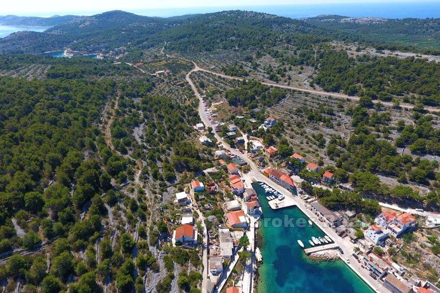 Uferdige hus nær sjøen på øya nær Sibenik