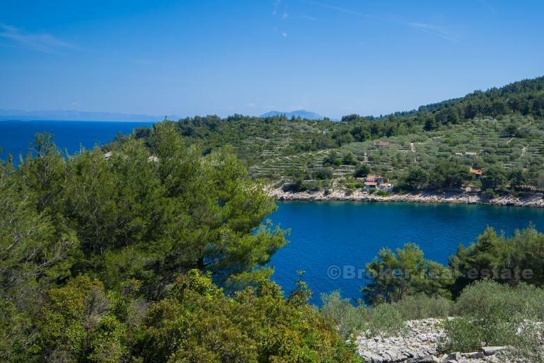 House by the sea, for sale