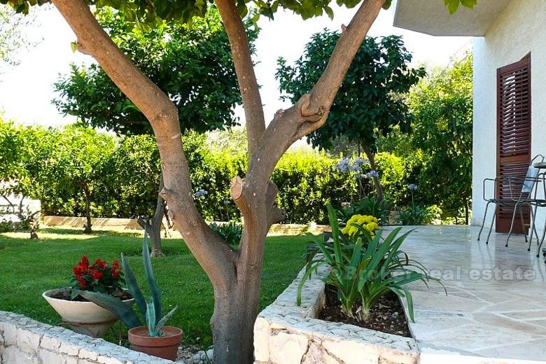 Bella villa sul lungomare, in vendita