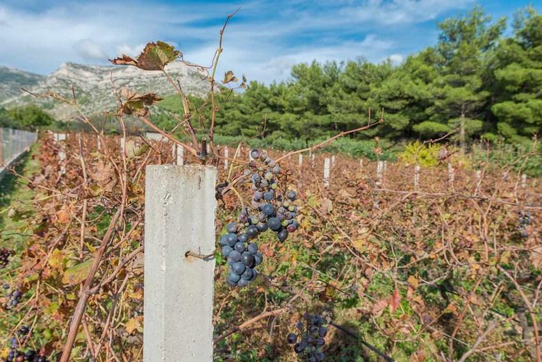 Magnificent Dalmatian villa, for sale