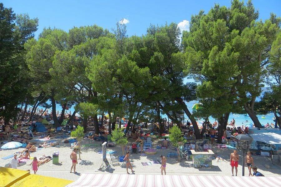 Ekskluzywne apartamenty, na sprzedaż