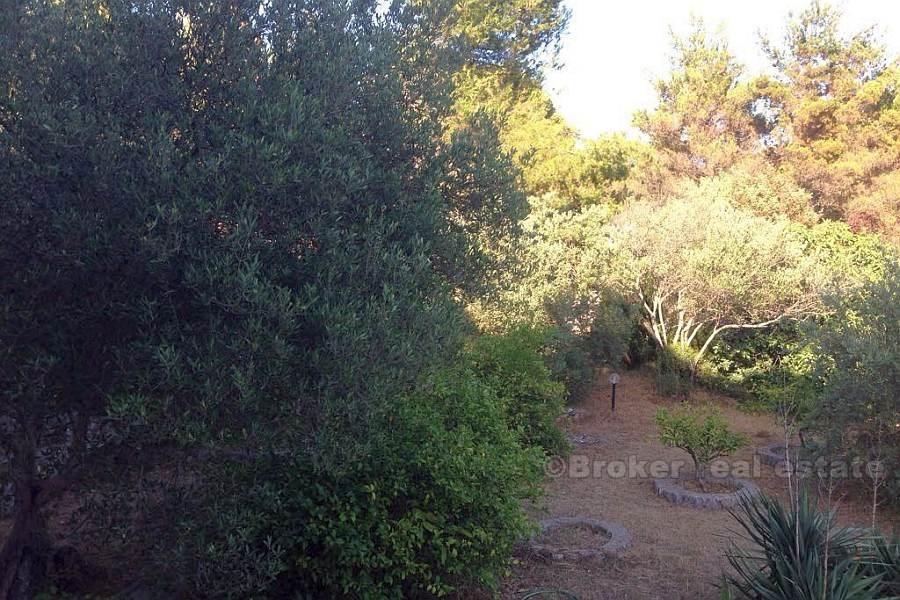 Apartment house, for sale