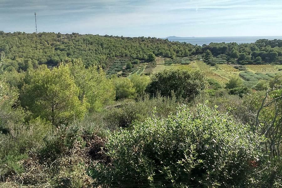 Terrain constructible avec vue mer