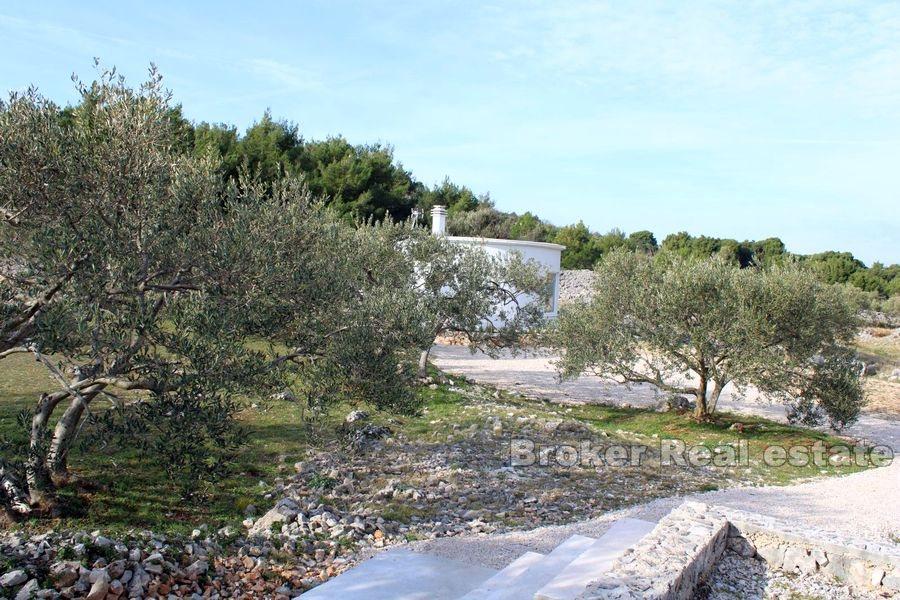 Större mark med ett mindre hus