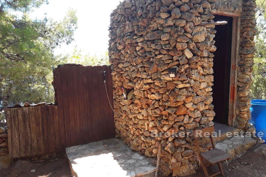 Дом Робинзона первый ряд к морю