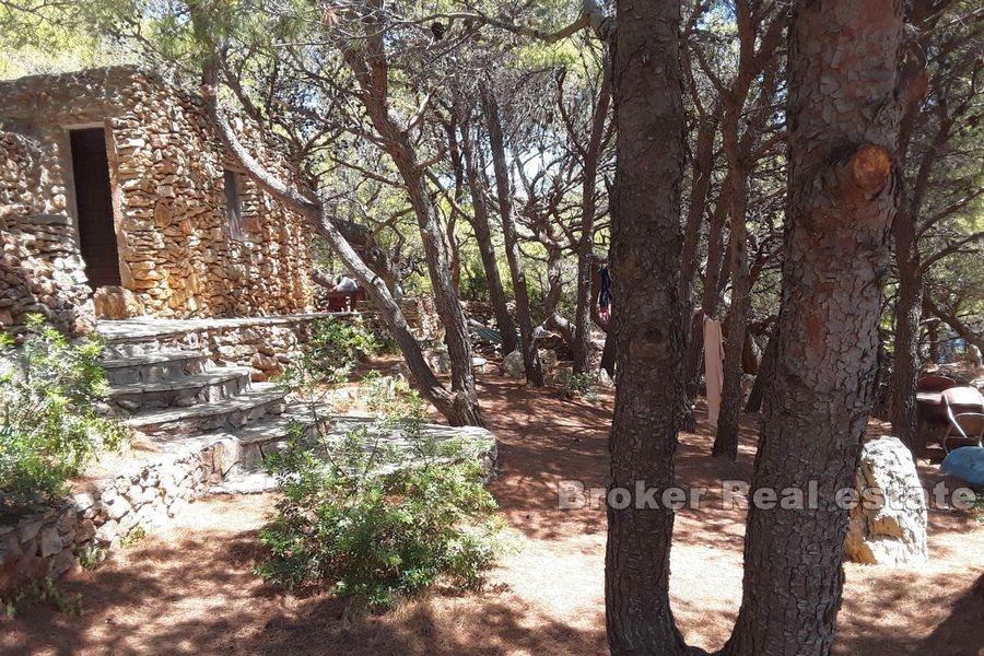 Дом Робинзона первый ряд к морю