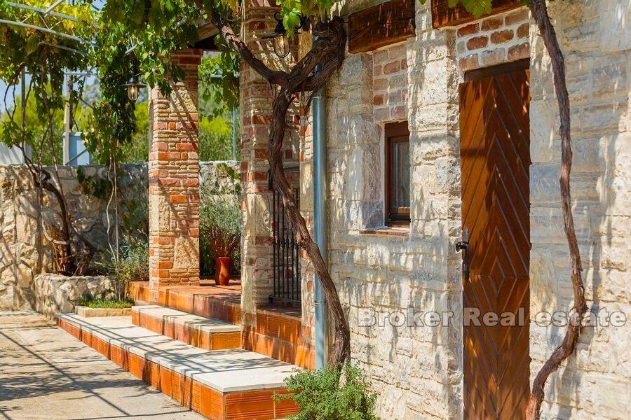 Dalmatian estate with a pool and an olive grove