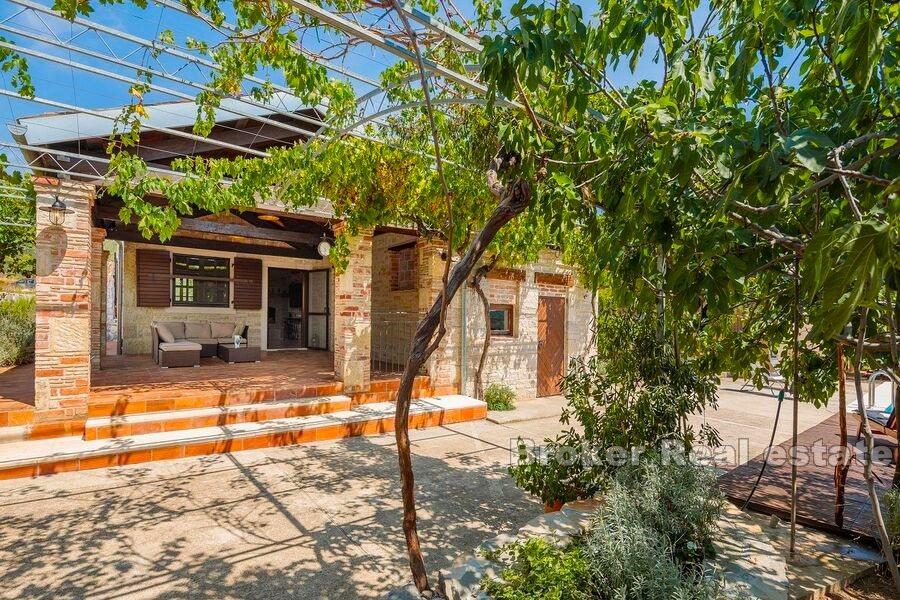 Dalmatian estate with a pool and an olive grove