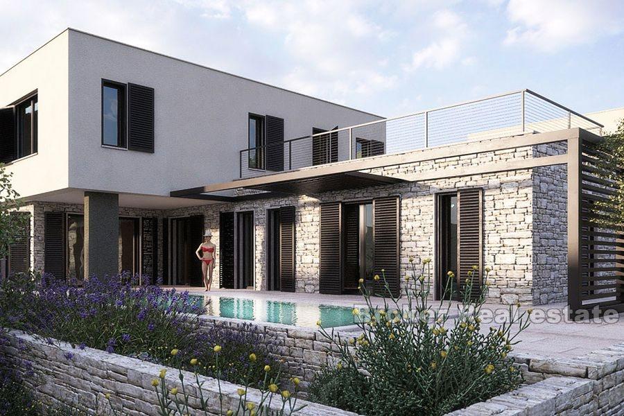 Modern villas with pool