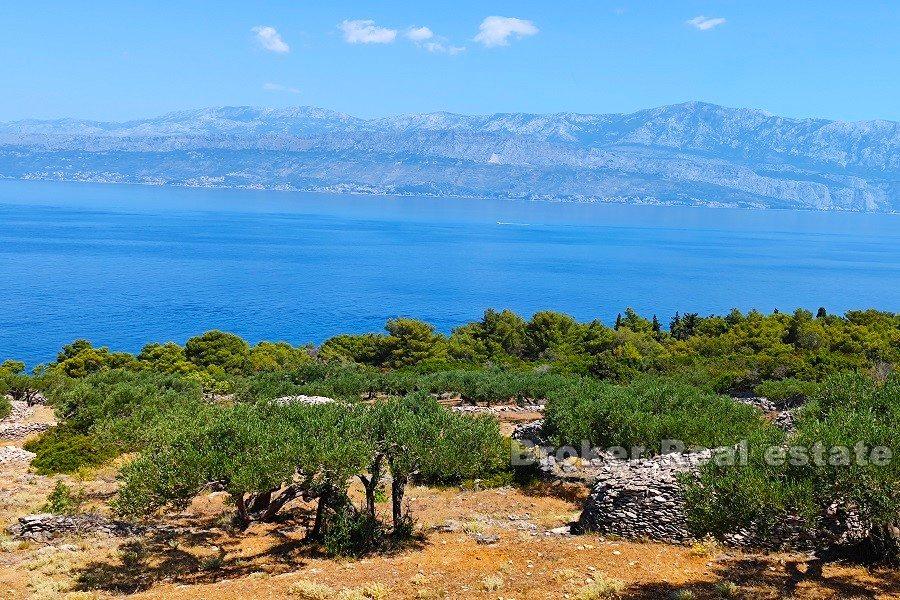 Building land for the construction of 9 villas with swimming pools