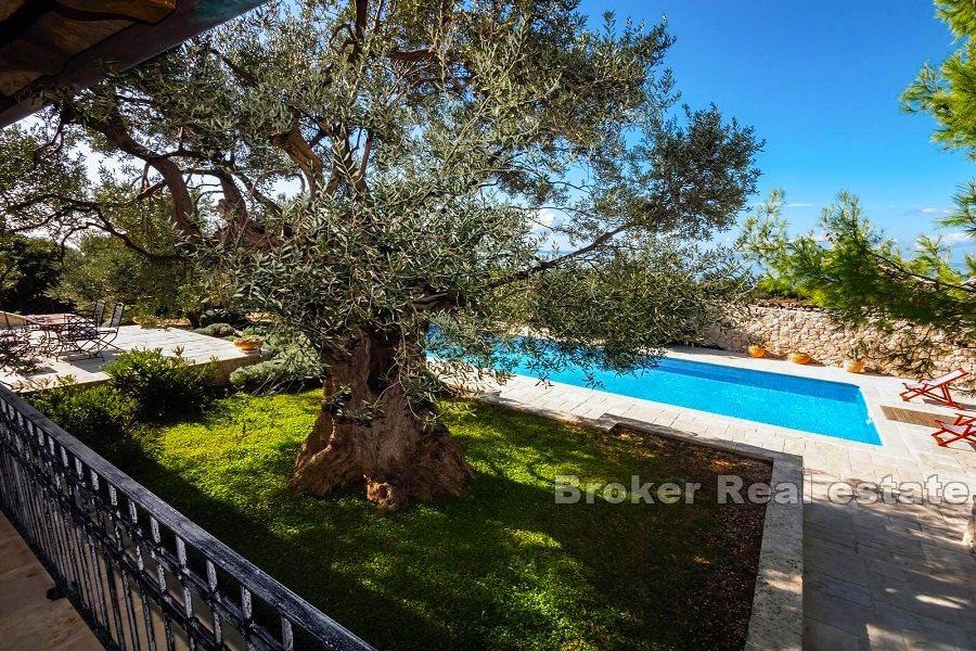 Stone villa with pool and sea view