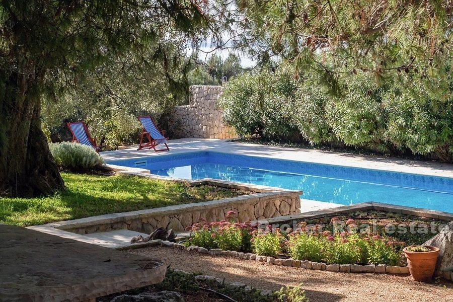Stone villa with pool and sea view