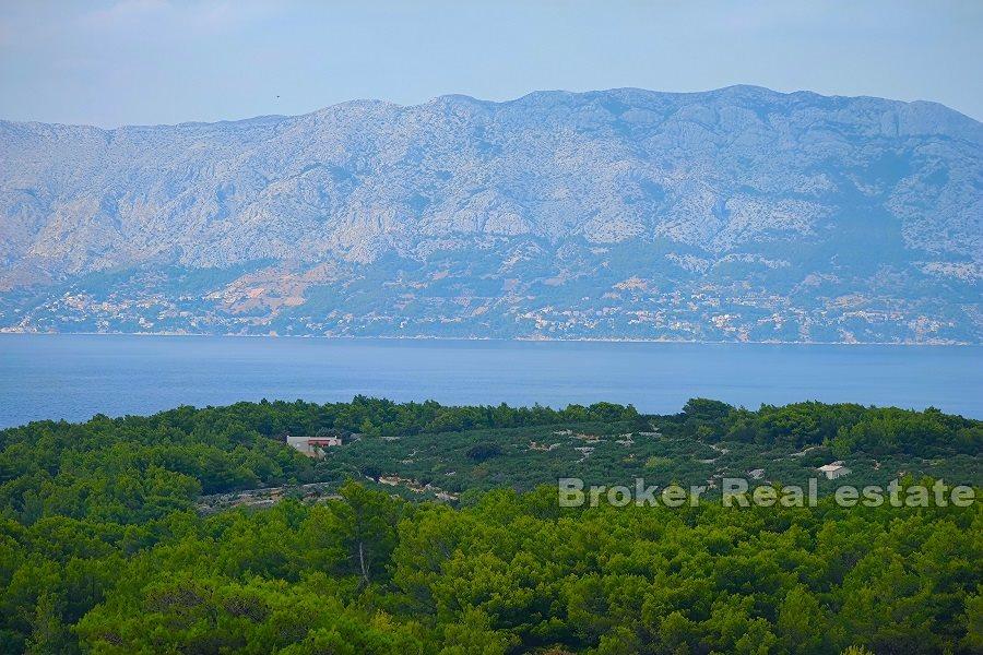 Terrain agricole avec vue mer