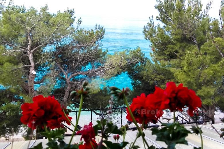 Touristisches Handelsgebäude, zum Verkauf