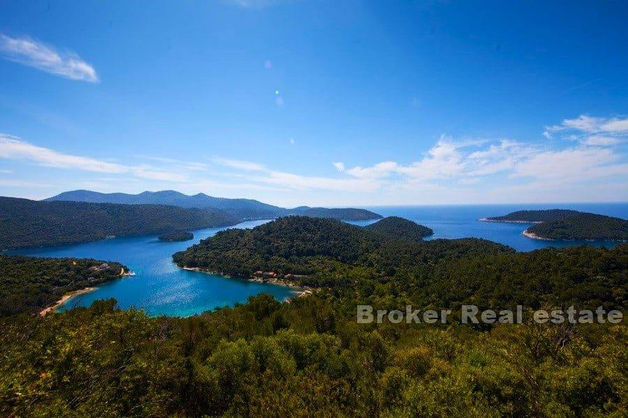 Building land near the sea