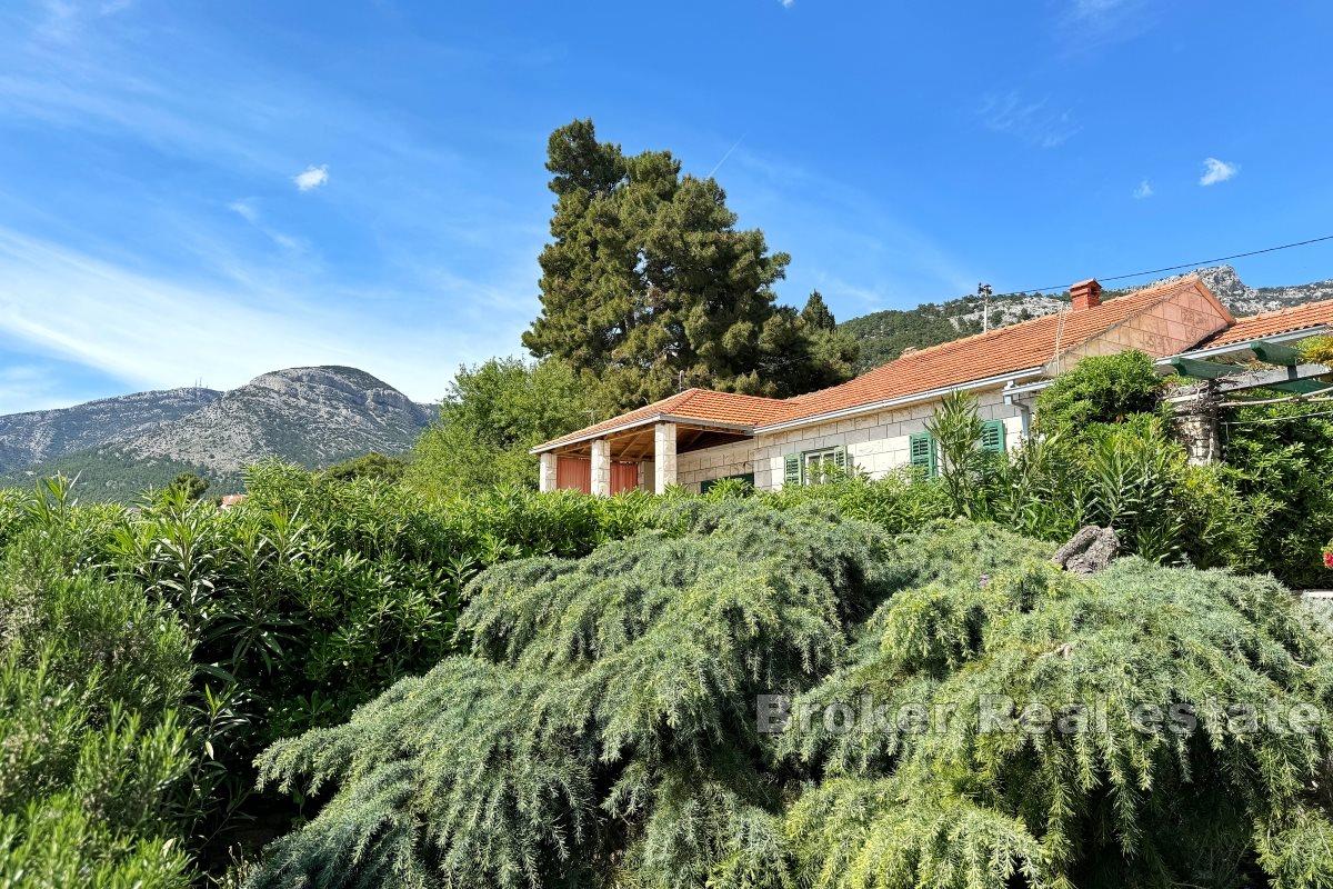 House first row to the sea